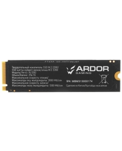 Купить 256 ГБ M.2 NVMe накопитель ARDOR GAMING Ally AL1282 [ALMAYM1024-AL1282]  в E-mobi