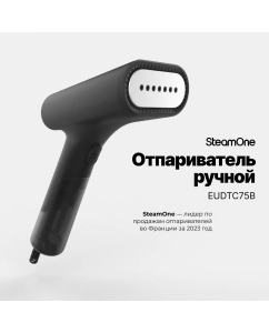 Купить Ручной отпариватель SteamOne EUDTC75B 0.07 л черный в E-mobi