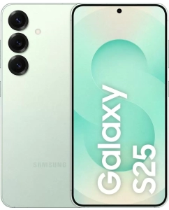 Купить Смартфон Samsung Galaxy S25 5G 12/512GB Mint в E-mobi