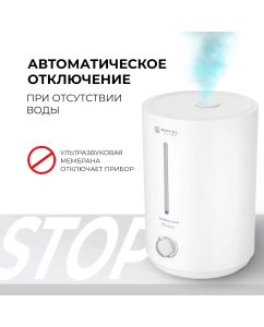 Купить Воздухоувлажнитель ROYAL Clima RUH-SA300/4.0M-WT белый  в E-mobi