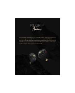 Купить Effect Audio x Elysian Acoustic PILGRIM Noir  в E-mobi