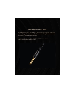 Купить Effect Audio x Elysian Acoustic PILGRIM Noir  в E-mobi