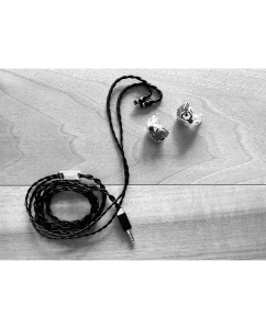 Купить Effect Audio EVO 1 в E-mobi