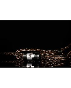 Купить Noble Audio Standard Cable with Interchangeable Termination в E-mobi