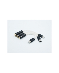 Купить ISN Audio Type-C DAC Adapter в E-mobi