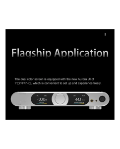 Купить Topping DX9  в E-mobi