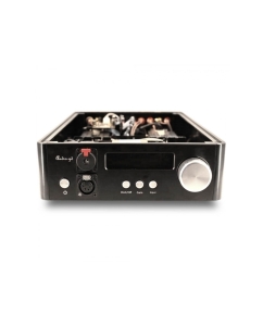 Купить Audio-GD D-28 в E-mobi