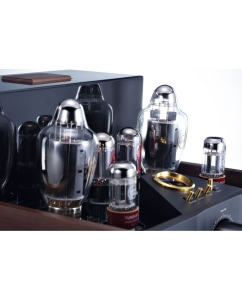 Купить Cayin Soul 170HA  в E-mobi