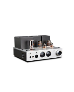 Купить Cayin HA-2A в E-mobi