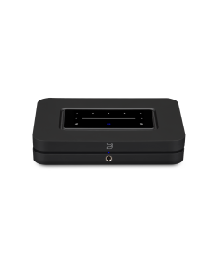 Купить Bluesound Node N132 в E-mobi