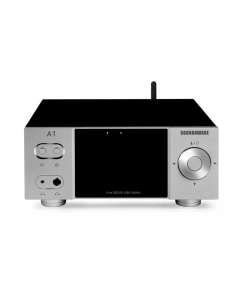 Купить SoundAware A1X Femto Version  в E-mobi