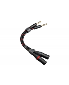 Купить Topping TCT2 в E-mobi