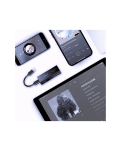 Купить Cayin CS-L2C  в E-mobi