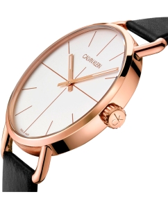 Купить Наручные часы Calvin Klein K7B216C6  в E-mobi