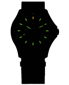 Купить Швейцарские наручные часы Traser TR_111074  в E-mobi