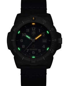 Купить Швейцарские наручные часы Luminox XS.8903.ECO  в E-mobi