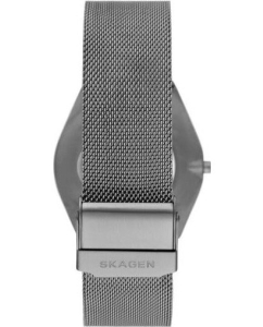 Купить Наручные часы Skagen SKW6824  в E-mobi