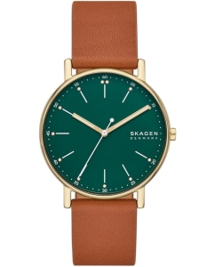 Купить Наручные часы Skagen SKW6927 в E-mobi