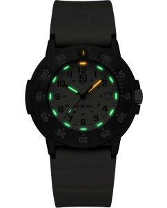 Купить Швейцарские наручные часы Luminox XS.3010.EVO.S  в E-mobi