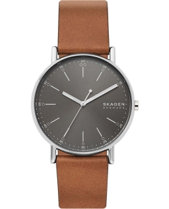 Купить Наручные часы Skagen SKW6578 в E-mobi