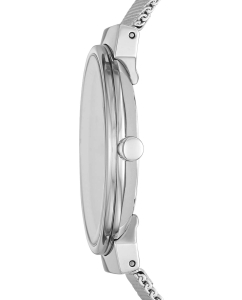 Купить Наручные часы Skagen SKW2983  в E-mobi