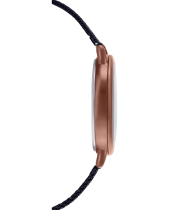 Купить Японские наручные часы Casio Collection LTP-E415MBR-1C  в E-mobi