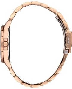 Купить Наручные часы Daniel Klein DK.1.13338-6  в E-mobi