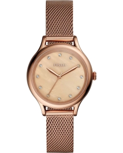 Купить Наручные часы Fossil BQ3392 в E-mobi