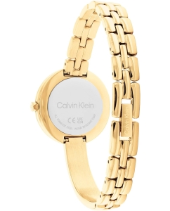 Купить Наручные часы Calvin Klein 25200279  в E-mobi