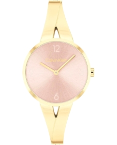 Купить Наручные часы Calvin Klein 25100027 в E-mobi