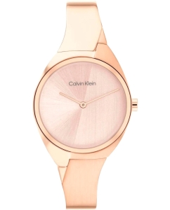 Купить Наручные часы Calvin Klein 25200236 в E-mobi