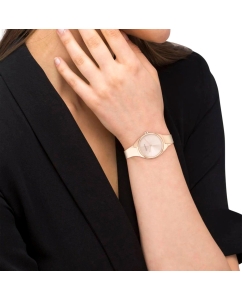 Купить Наручные часы Calvin Klein 25200236  в E-mobi