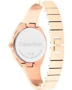 Купить Наручные часы Calvin Klein 25200236  в E-mobi