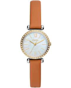 Купить Наручные часы Fossil BQ3900 в E-mobi