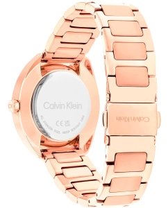 Купить Наручные часы Calvin Klein 25200277  в E-mobi
