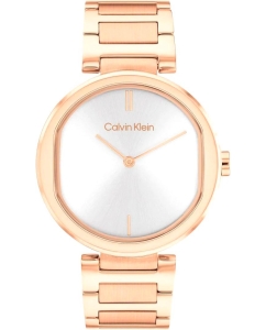 Купить Наручные часы Calvin Klein 25200253 в E-mobi