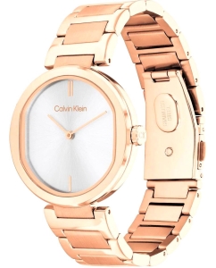 Купить Наручные часы Calvin Klein 25200253  в E-mobi