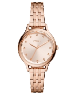 Купить Наручные часы Fossil BQ3862 в E-mobi