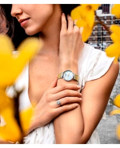 Купить Наручные часы Stuhrling 3927.3  в E-mobi