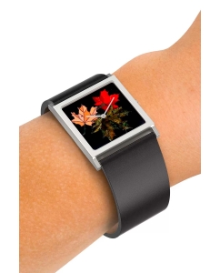 Купить Российские наручные часы Briller WU-SS-005  в E-mobi