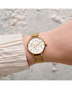 Купить Наручные часы Olivia Burton OB16CG100  в E-mobi