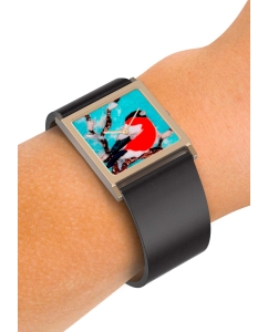 Купить Российские наручные часы Briller WU-SG-002  в E-mobi