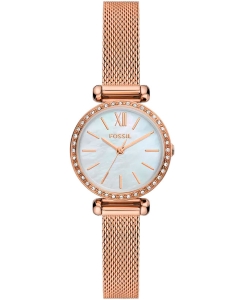 Купить Наручные часы Fossil BQ3897 в E-mobi