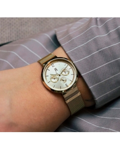 Купить Наручные часы Tommy Hilfiger 1782539  в E-mobi