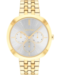 Купить Наручные часы Calvin Klein 25200336 в E-mobi