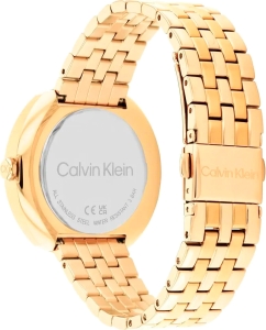 Купить Наручные часы Calvin Klein 25200336  в E-mobi