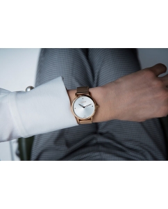 Купить Швейцарские наручные часы Wenger 01.1721.114  в E-mobi