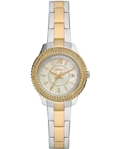 Купить Наручные часы Fossil ES5138 в E-mobi