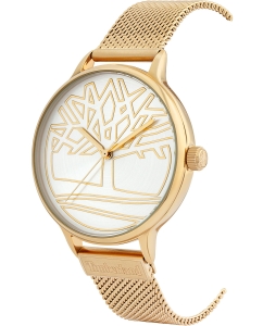 Купить Наручные часы Timberland TBL.15644MYG/04MM  в E-mobi