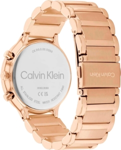 Купить Наручные часы Calvin Klein 25200241  в E-mobi